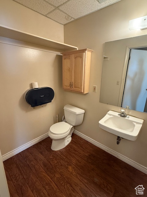 Half bath featuring a paneled ceiling, a sink, baseboards, wood finished floors, and toilet