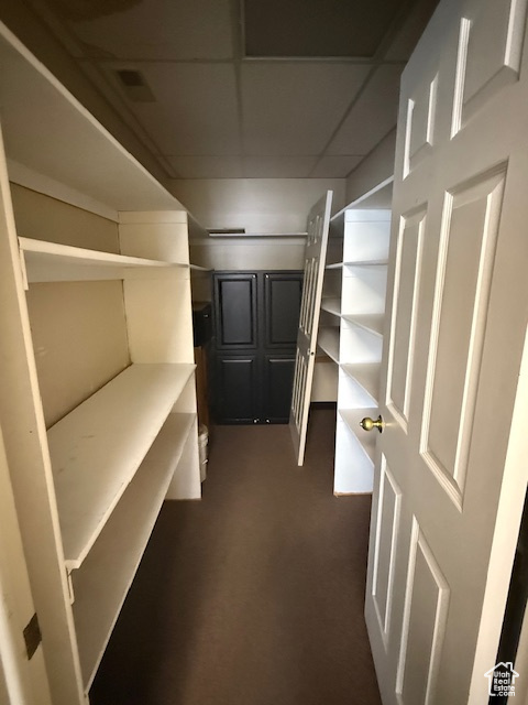 Walk in closet with dark carpet and a drop ceiling