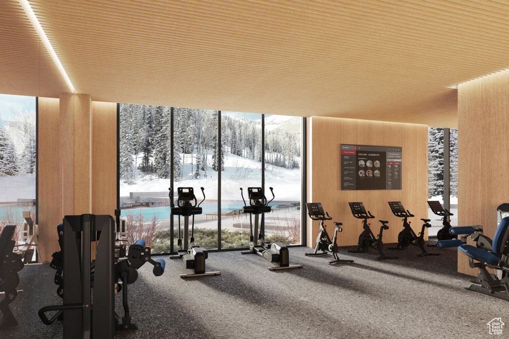 Exercise room with a wall of windows