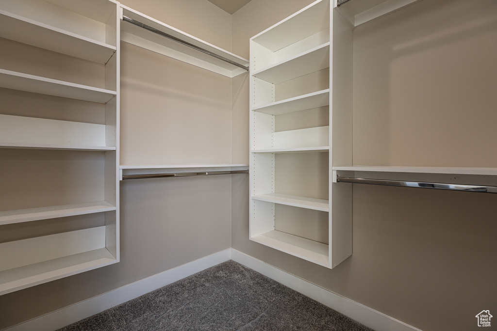 Spacious closet featuring dark carpet