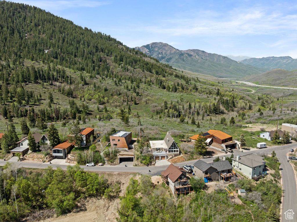 Drone / aerial view of a forest and mountains