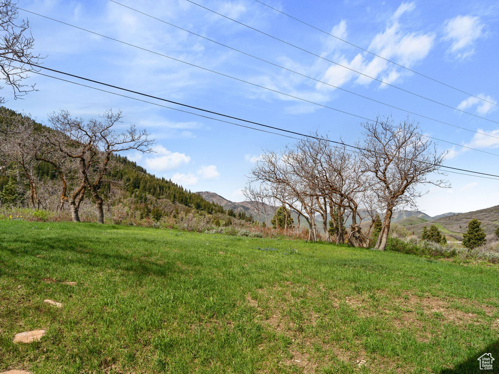 View of yard featuring a mountain view