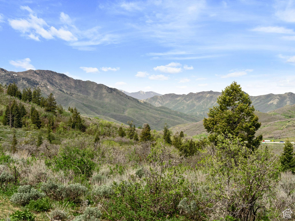 Mountain view