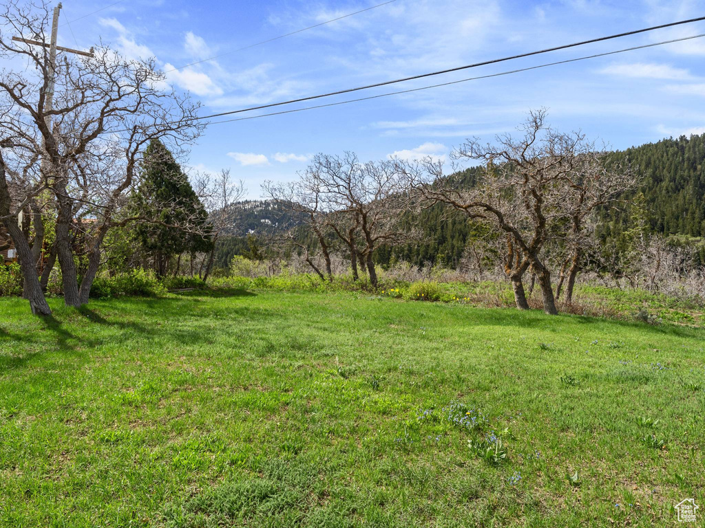 View of green lawn with a mountain view