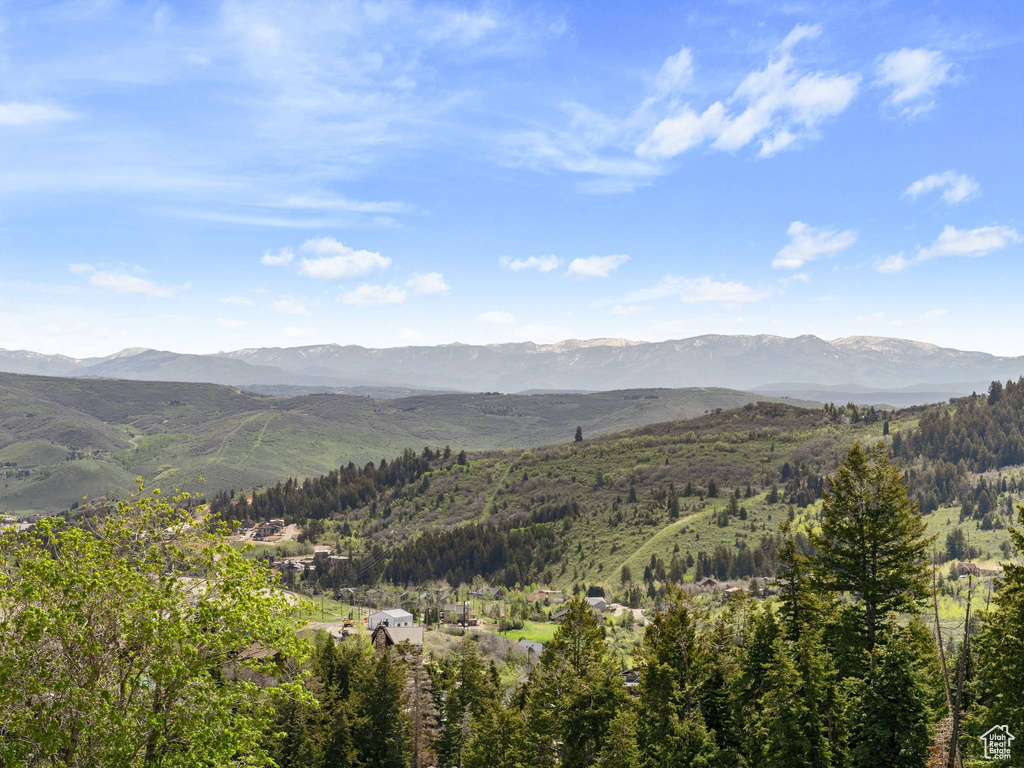 Mountain view with a heavily wooded area