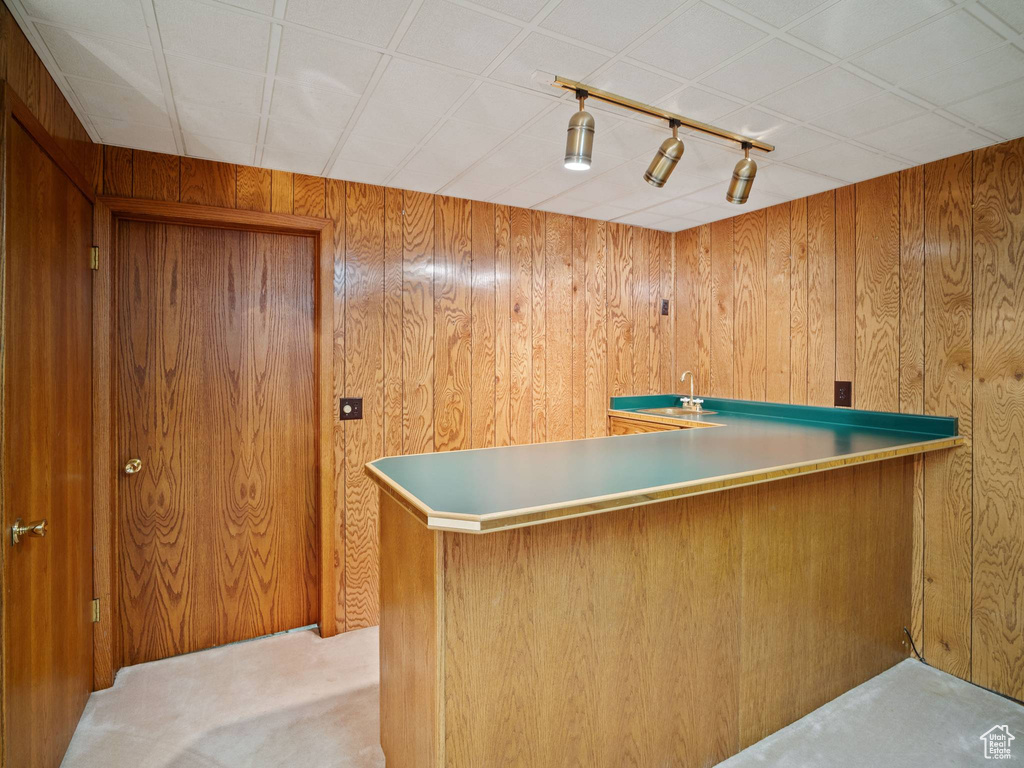 Bar area featuring wooden walls, track lighting, and carpet