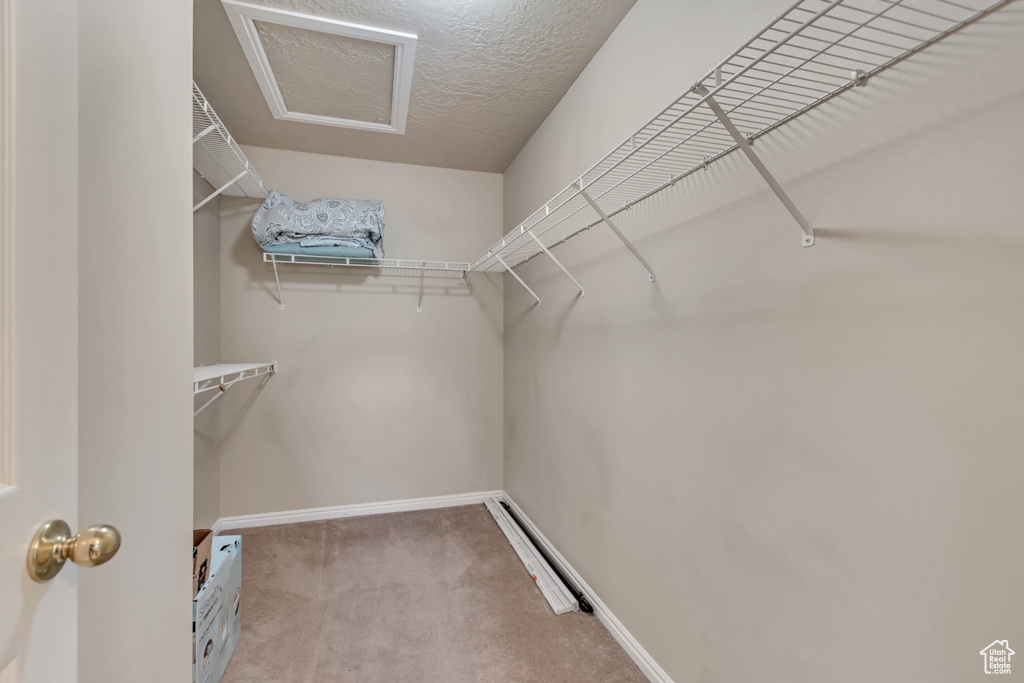 Walk in closet with carpet floors