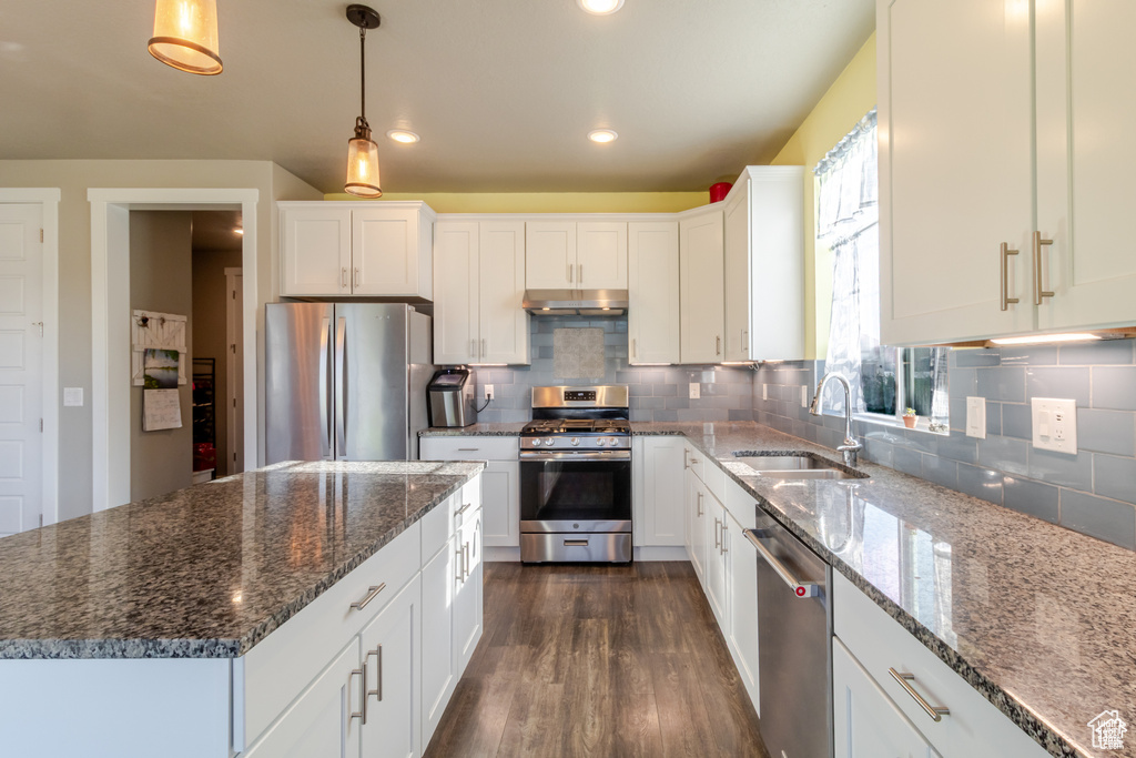 Kitchen with stainless steel appliances, a sink, dark wood-type flooring, under cabinet range hood, and white cabinetry