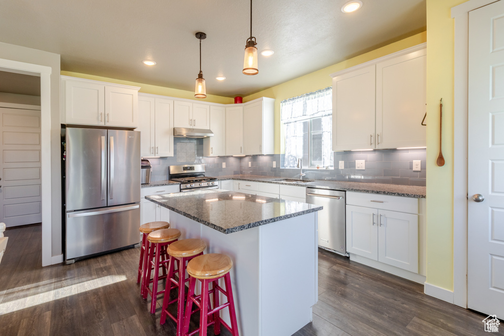 Kitchen with stainless steel appliances, white cabinetry, dark wood-style flooring, under cabinet range hood, and a sink