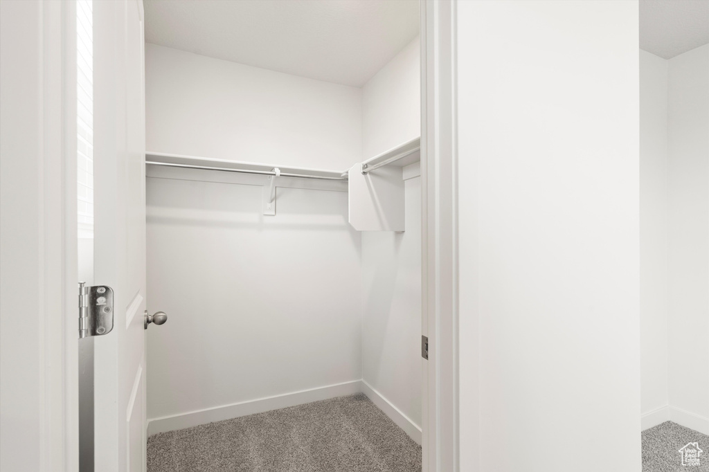 Walk in closet with carpet floors