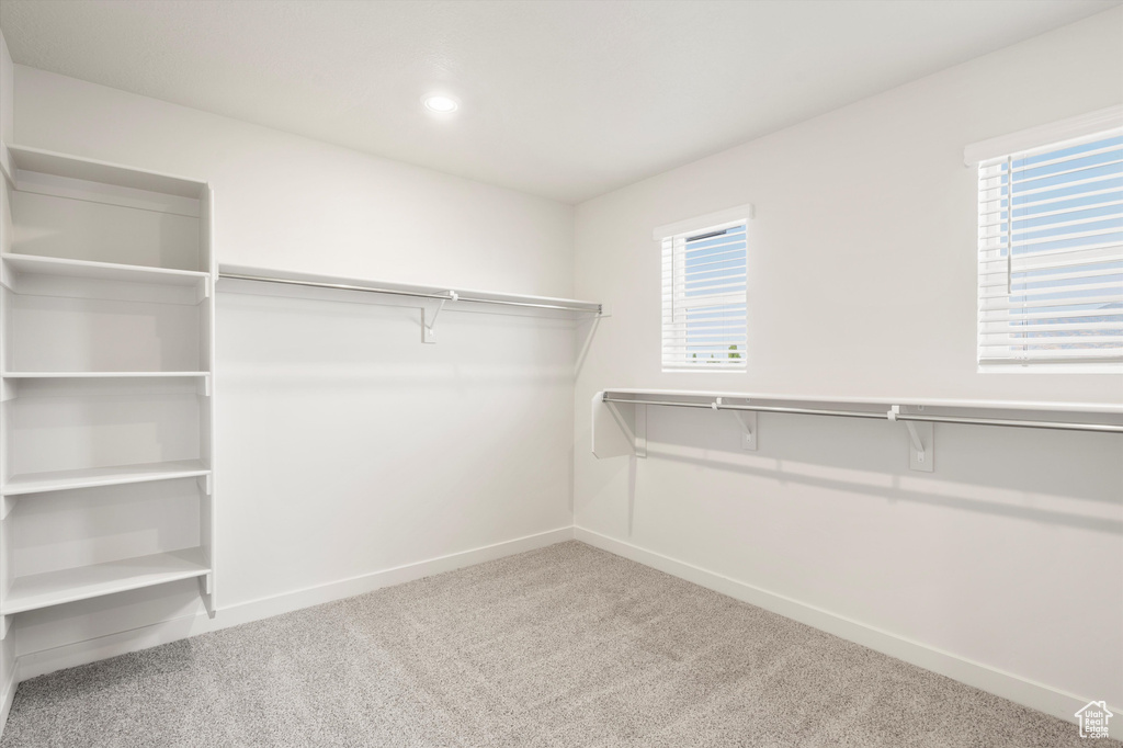 Spacious closet with carpet flooring