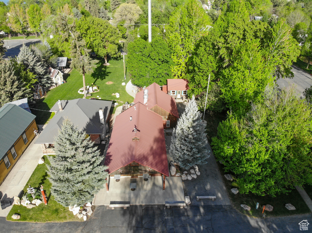Bird\'s eye view