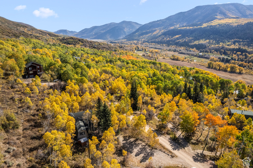 View of mountain background featuring a heavily wooded area