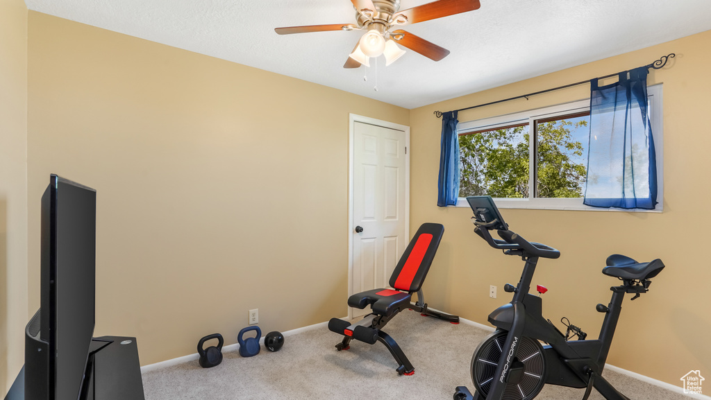 Workout area with carpet, a ceiling fan, and baseboards