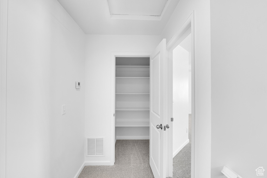Spacious closet with carpet floors and attic access