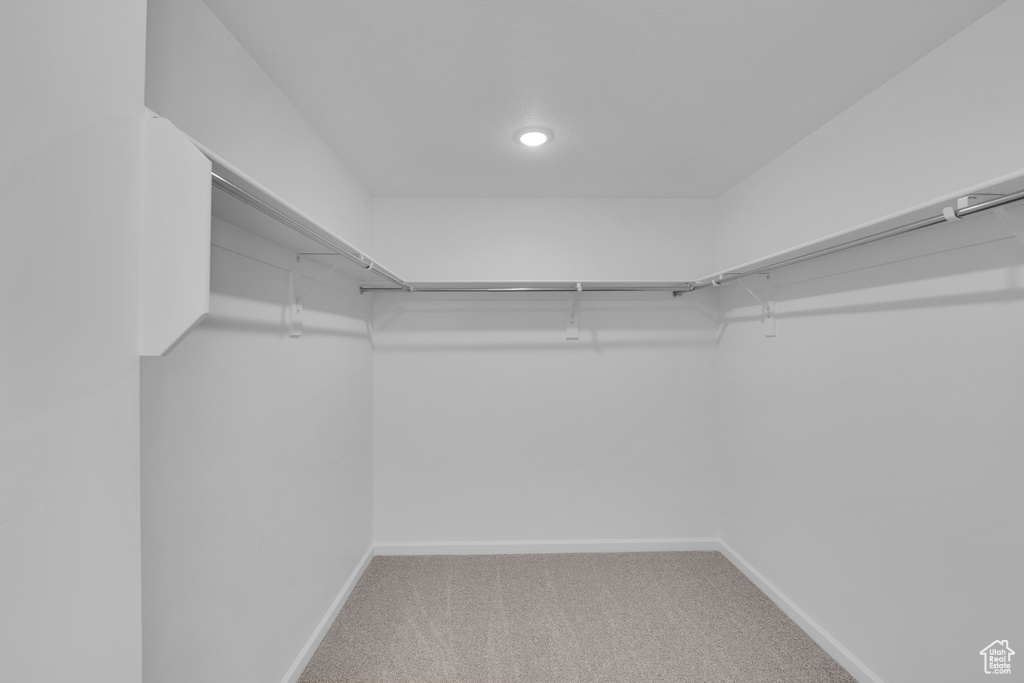 Walk in closet with carpet