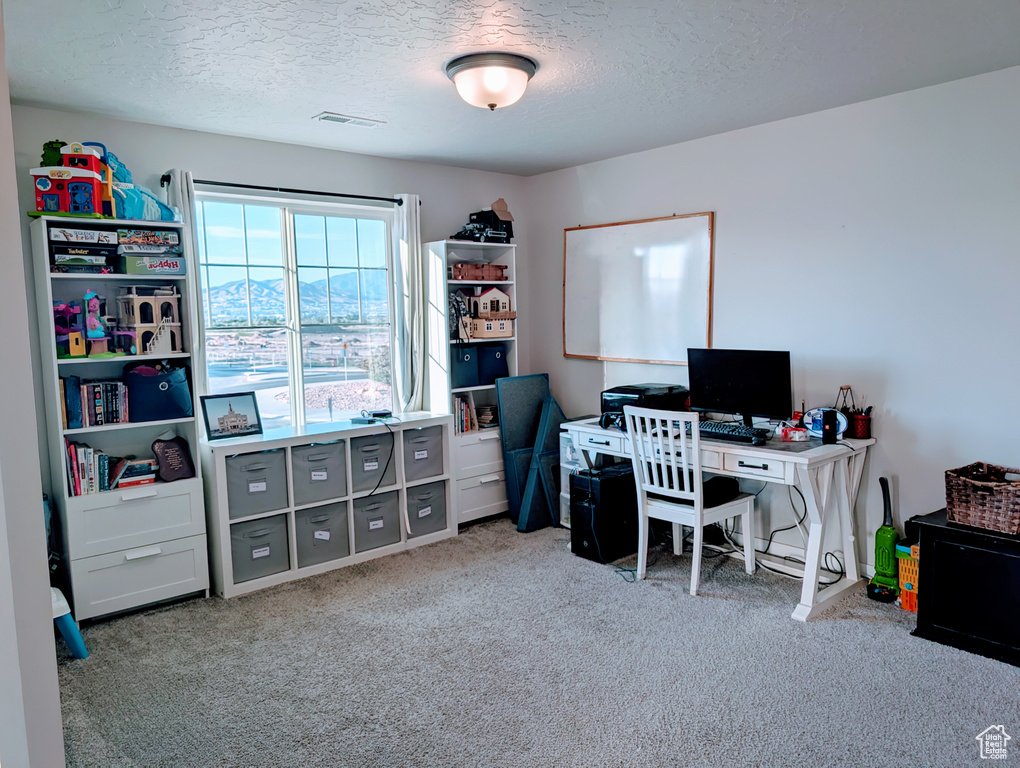 Carpeted home office with a textured ceiling