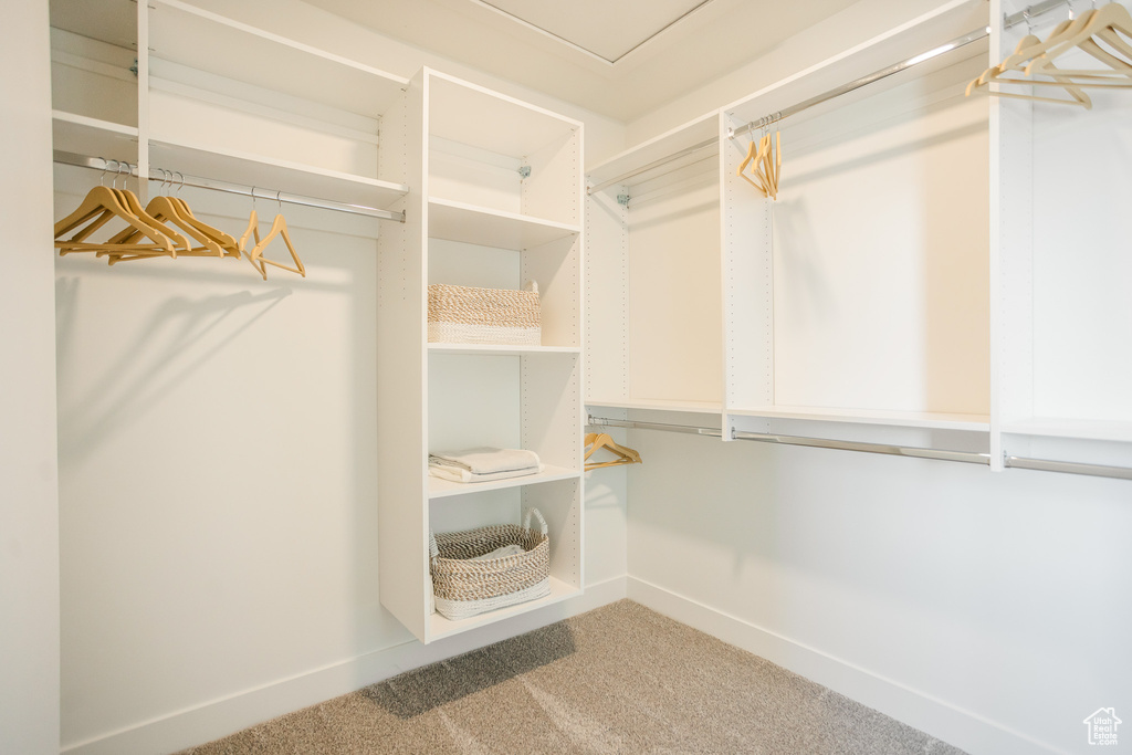 Walk in closet with carpet floors