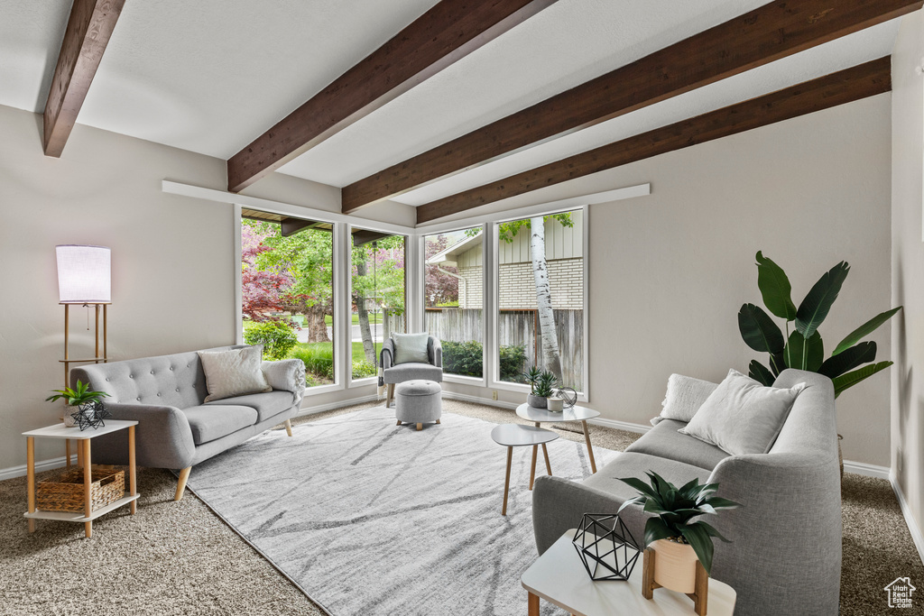 1664 E 1600 N Logan, UT 84341