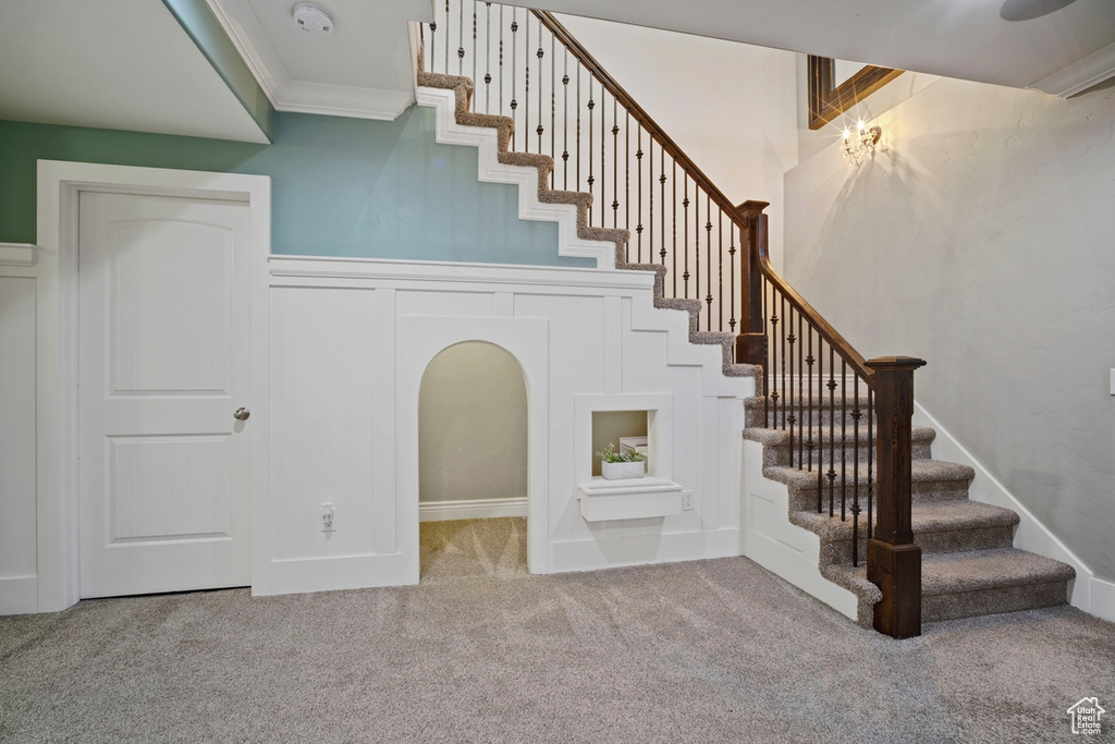 Stairs with carpet floors and ornamental molding