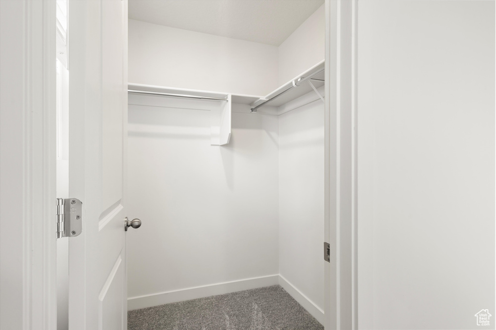 Walk in closet featuring carpet flooring