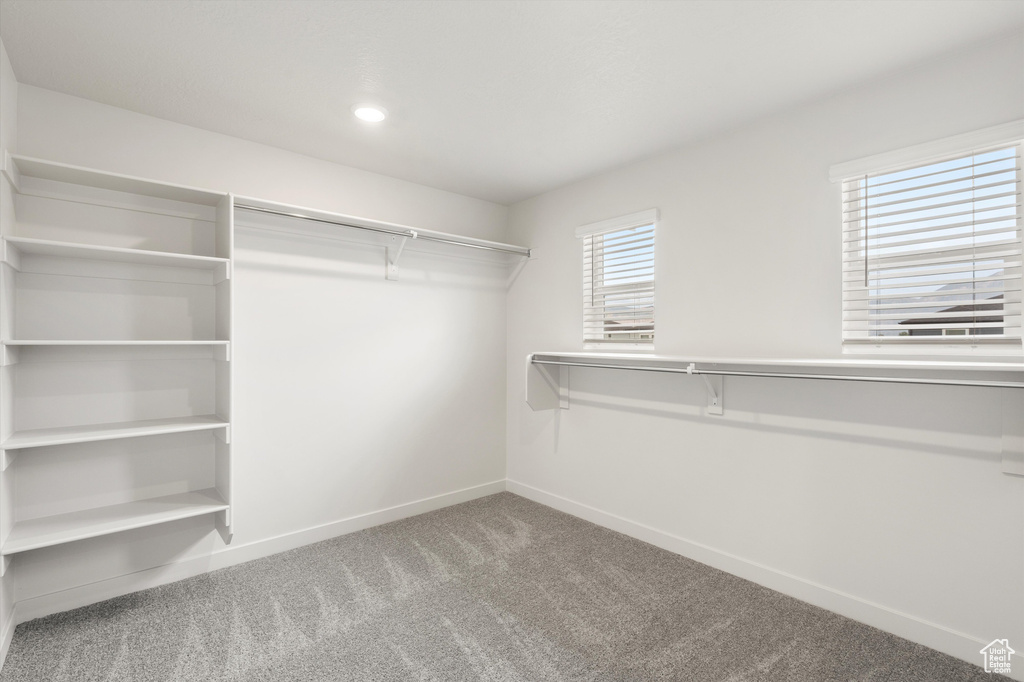 Spacious closet with carpet floors
