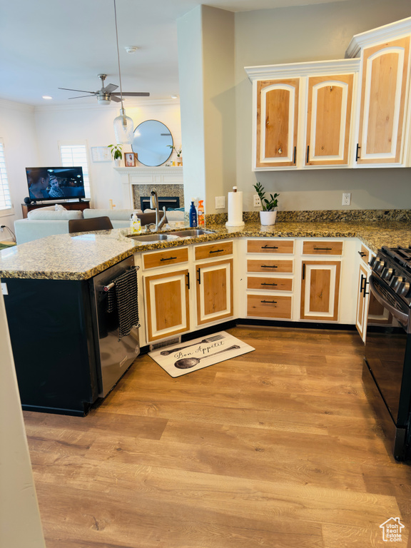 Kitchen featuring gas stove, dishwasher, a sink, a ceiling fan, and open floor plan