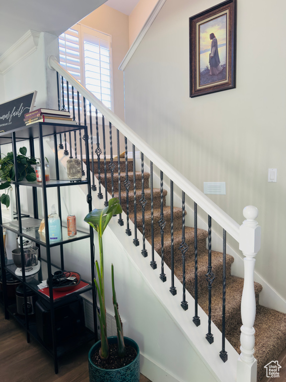 Stairway with wood finished floors and ornamental molding