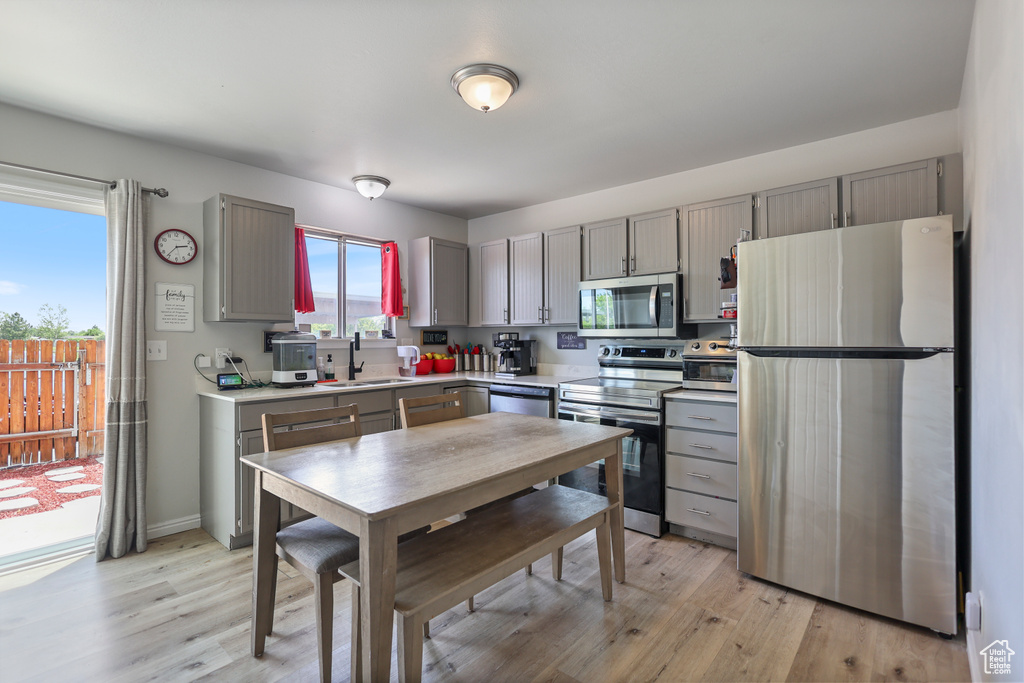Kitchen with appliances with stainless steel finishes, gray cabinetry, light wood-style floors, and a sink