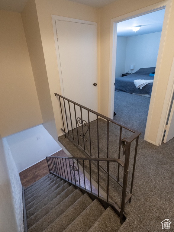 Stairs with carpet