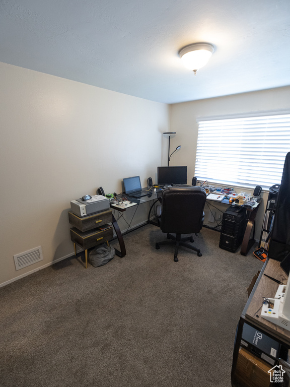 Home office with carpet floors