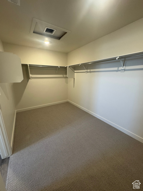 Walk in closet with attic access and dark carpet