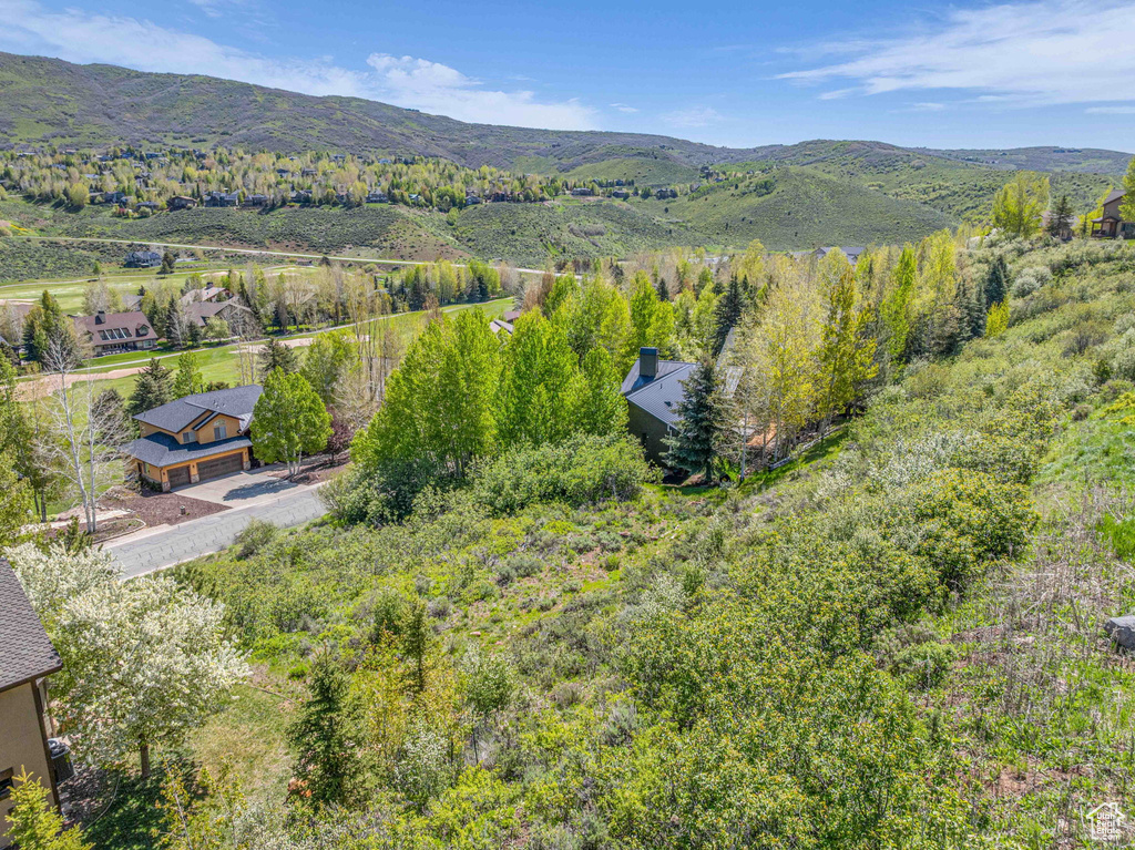 3161  HOMESTEAD RD Park City, UT 84098