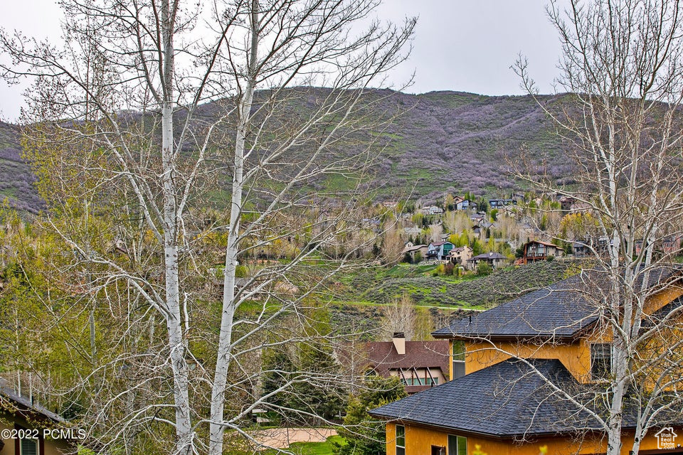 View of mountain backdrop