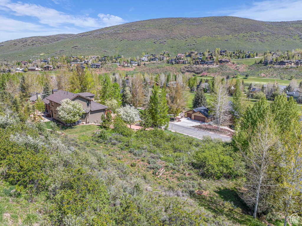 3161  HOMESTEAD RD Park City, UT 84098