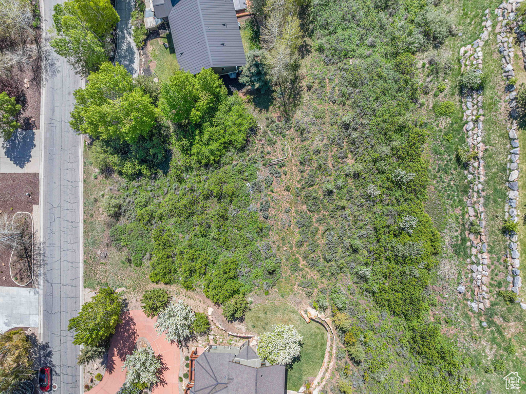 3161  HOMESTEAD RD Park City, UT 84098
