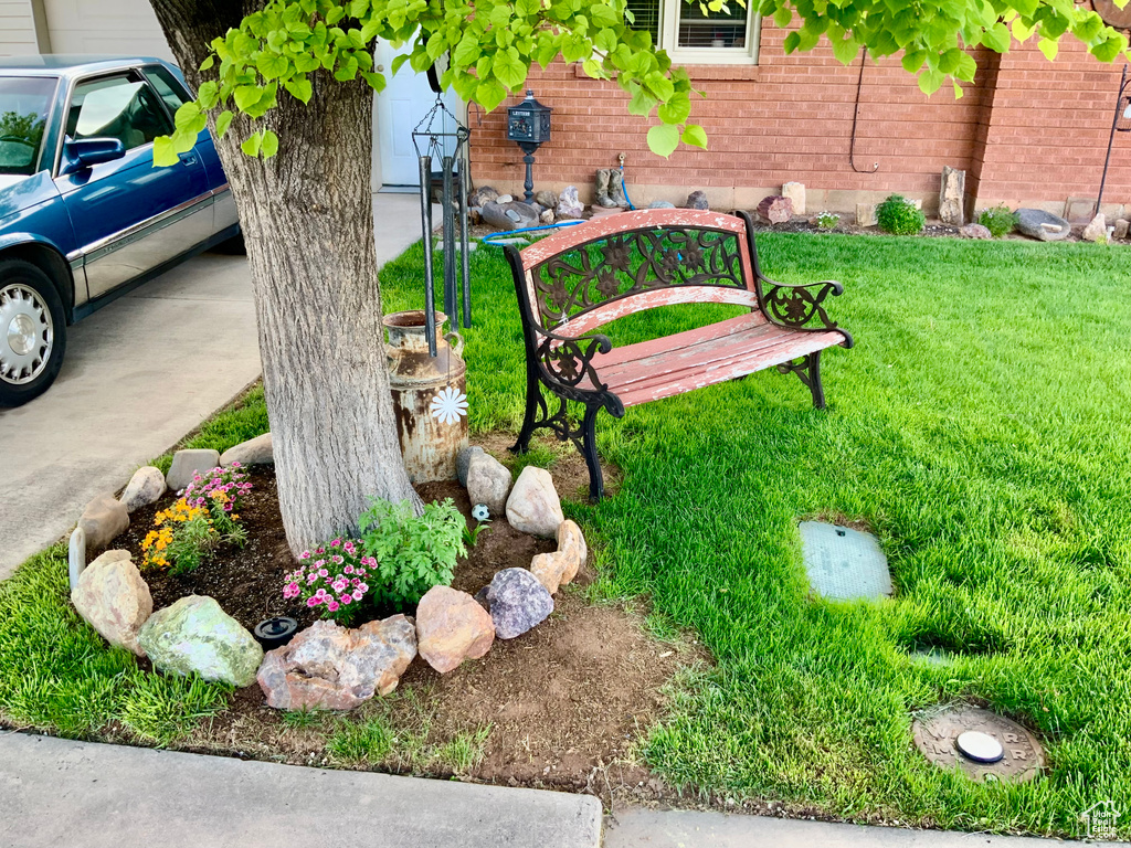 View of grassy yard