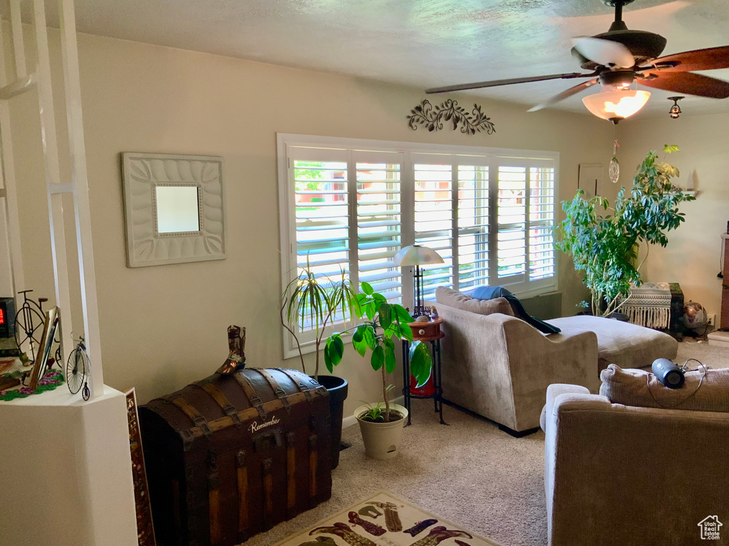Living area with ceiling fan and carpet flooring