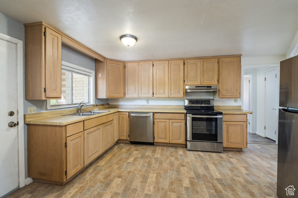 Kitchen with a sink, stainless steel appliances, under cabinet range hood, light countertops, and light wood finished floors