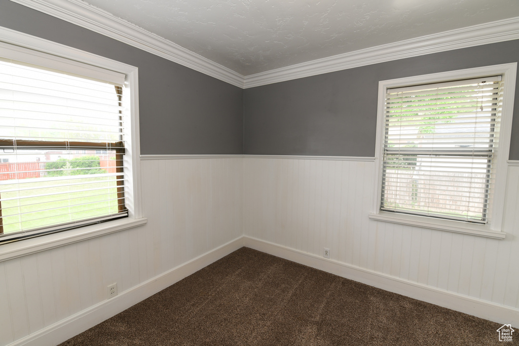 Empty room with healthy amount of natural light, dark carpet, a wainscoted wall, crown molding, and baseboards