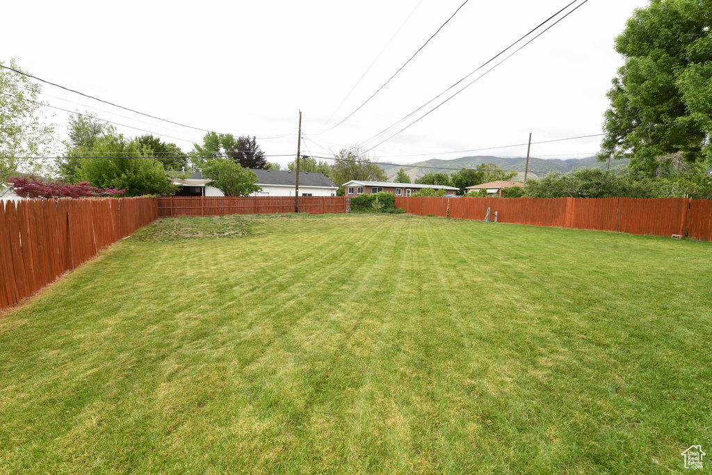 View of yard