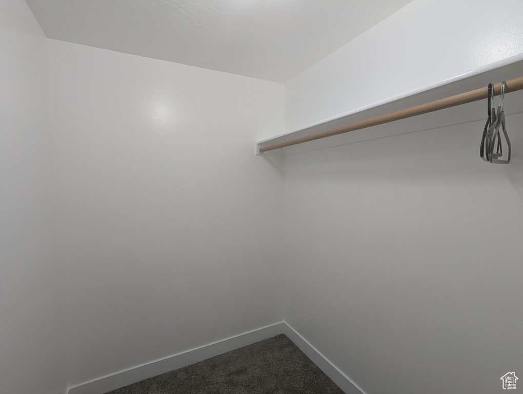 Spacious closet with dark colored carpet