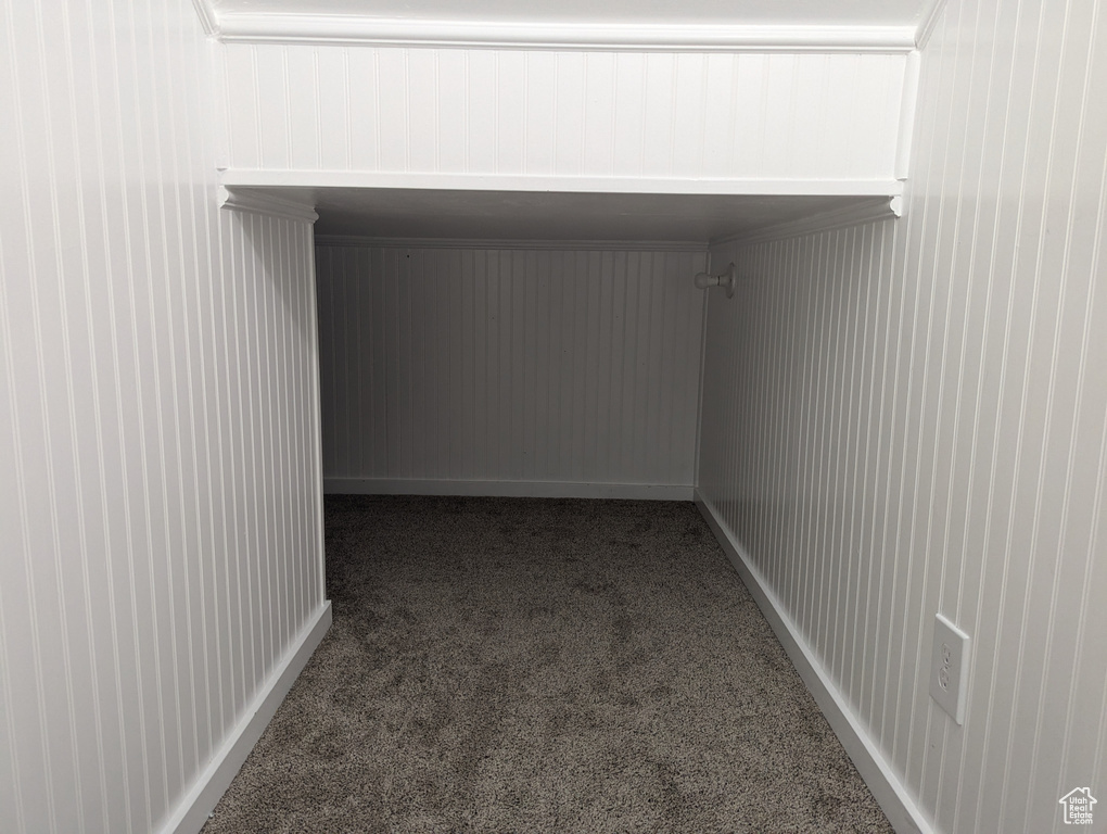 Walk in closet with carpet floors