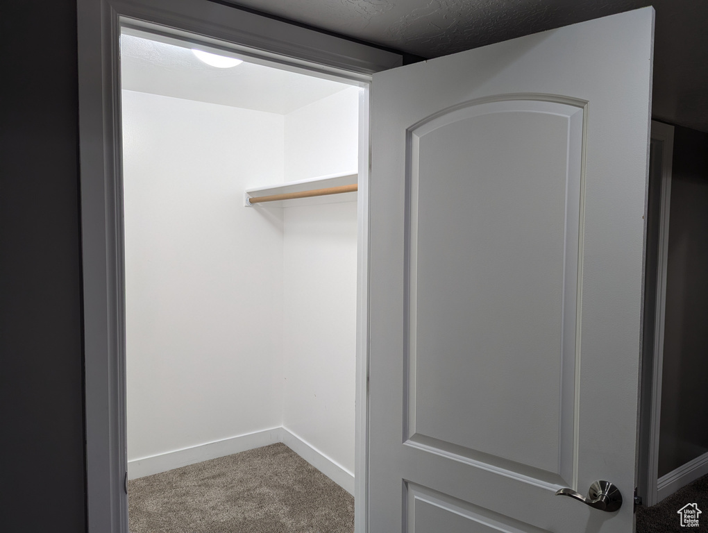 Walk in closet with carpet floors