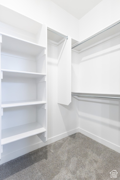 Spacious closet with carpet floors