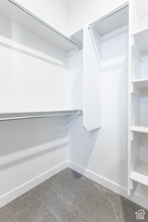 Spacious closet with carpet flooring