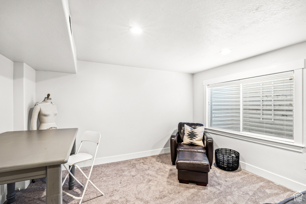 Living area featuring carpet flooring, baseboards, and recessed lighting