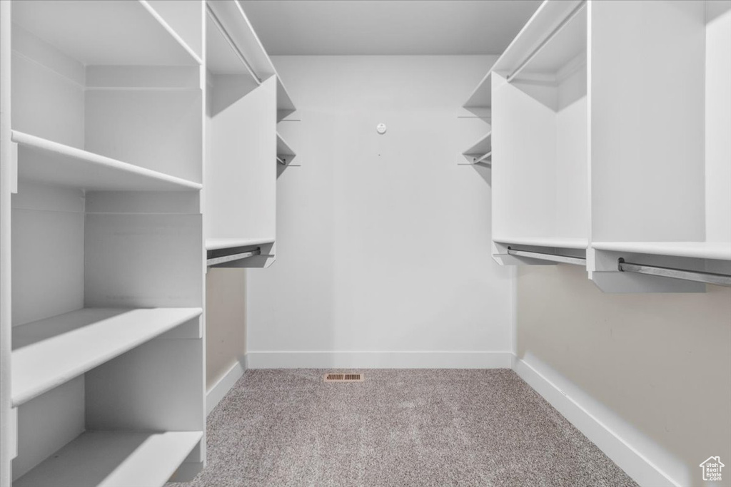 Walk in closet with carpet flooring