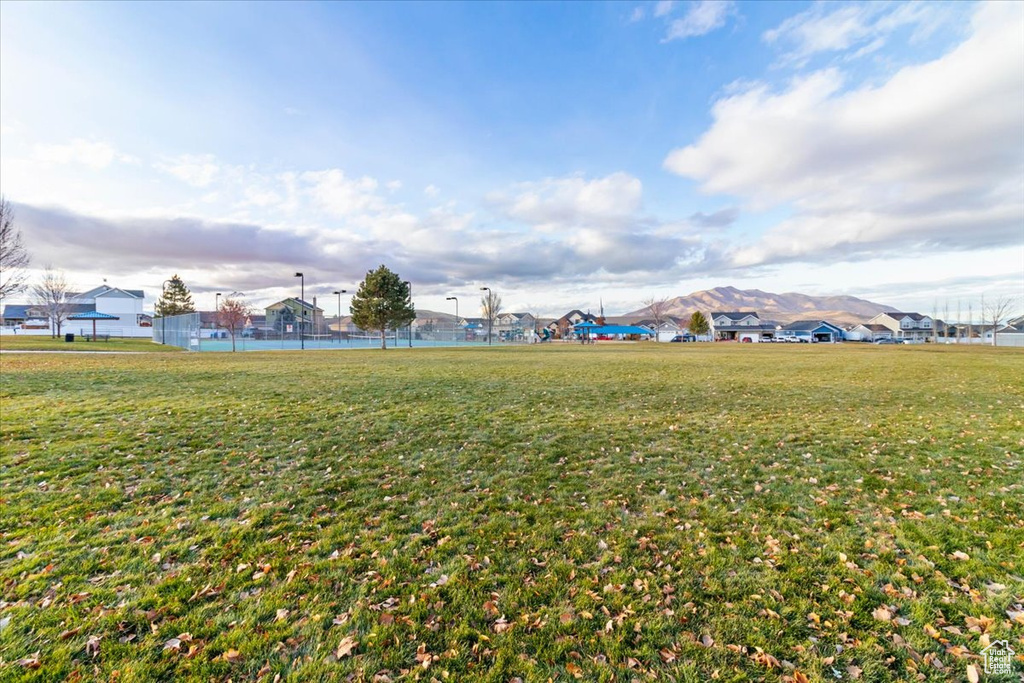 View of grassy yard featuring a residential view
