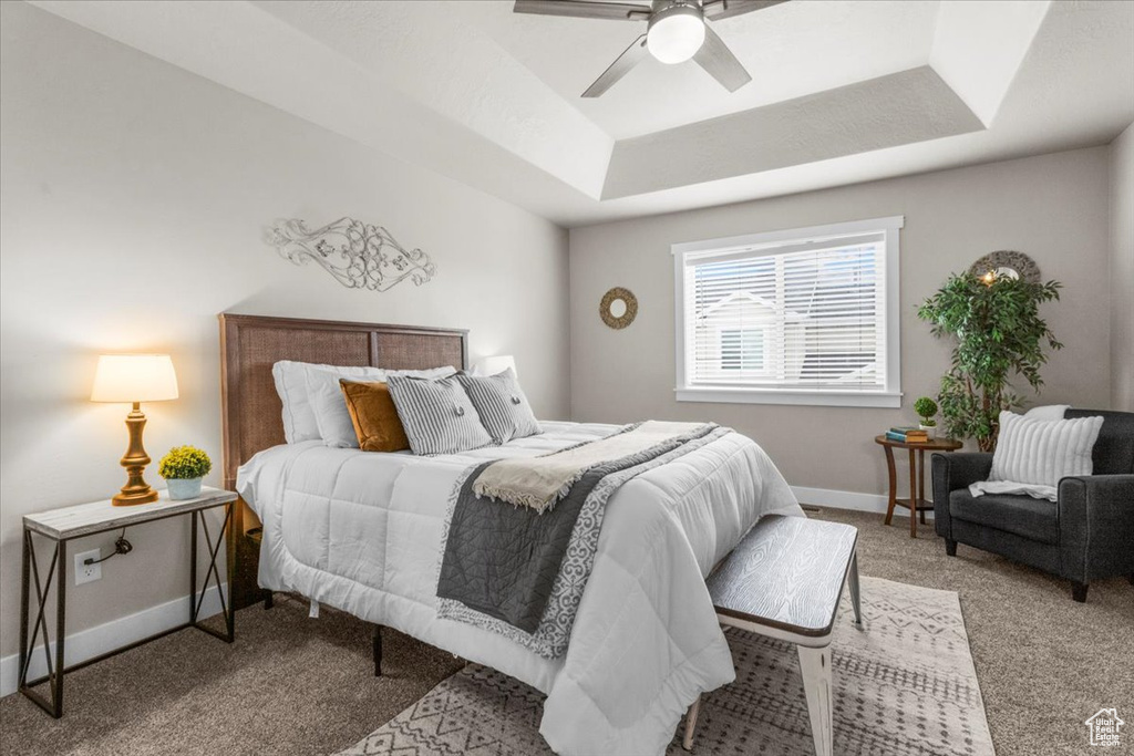 Bedroom featuring a tray ceiling, carpet flooring, baseboards, and a ceiling fan